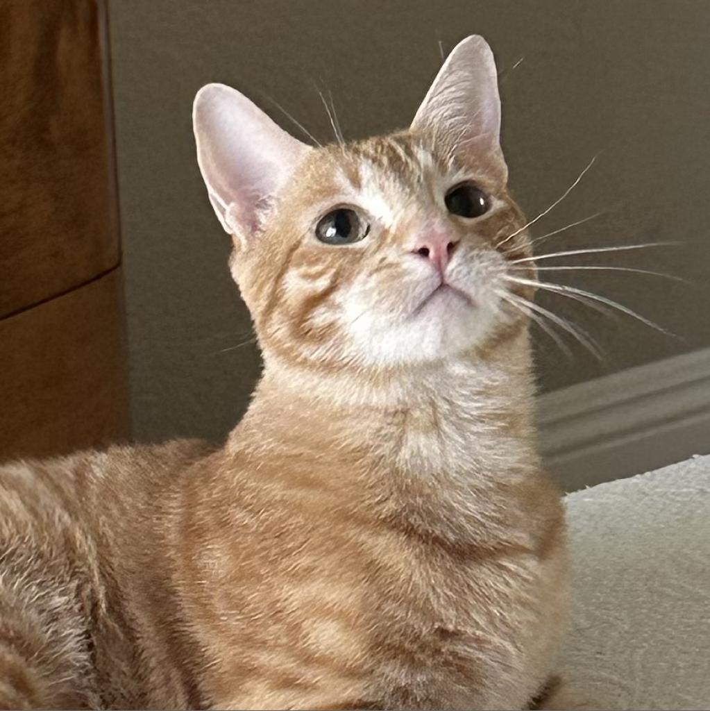 Jaime — thumbnail 2