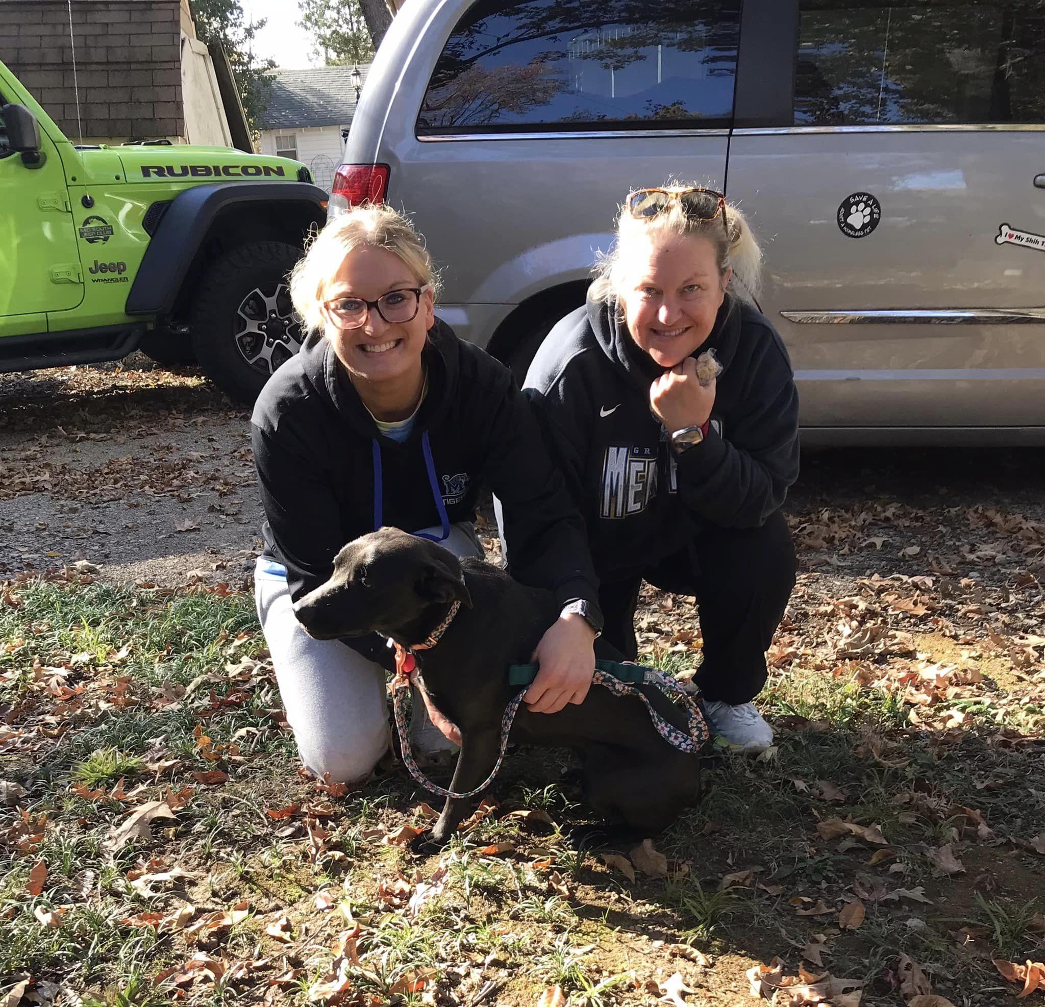 Nyx - ADOPTED!