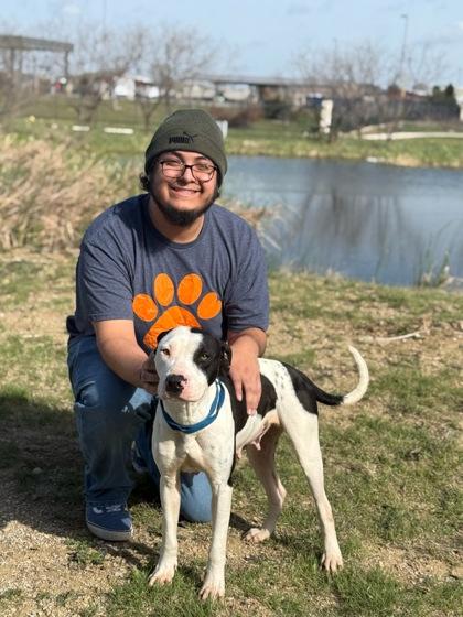 Cassidy — thumbnail 3