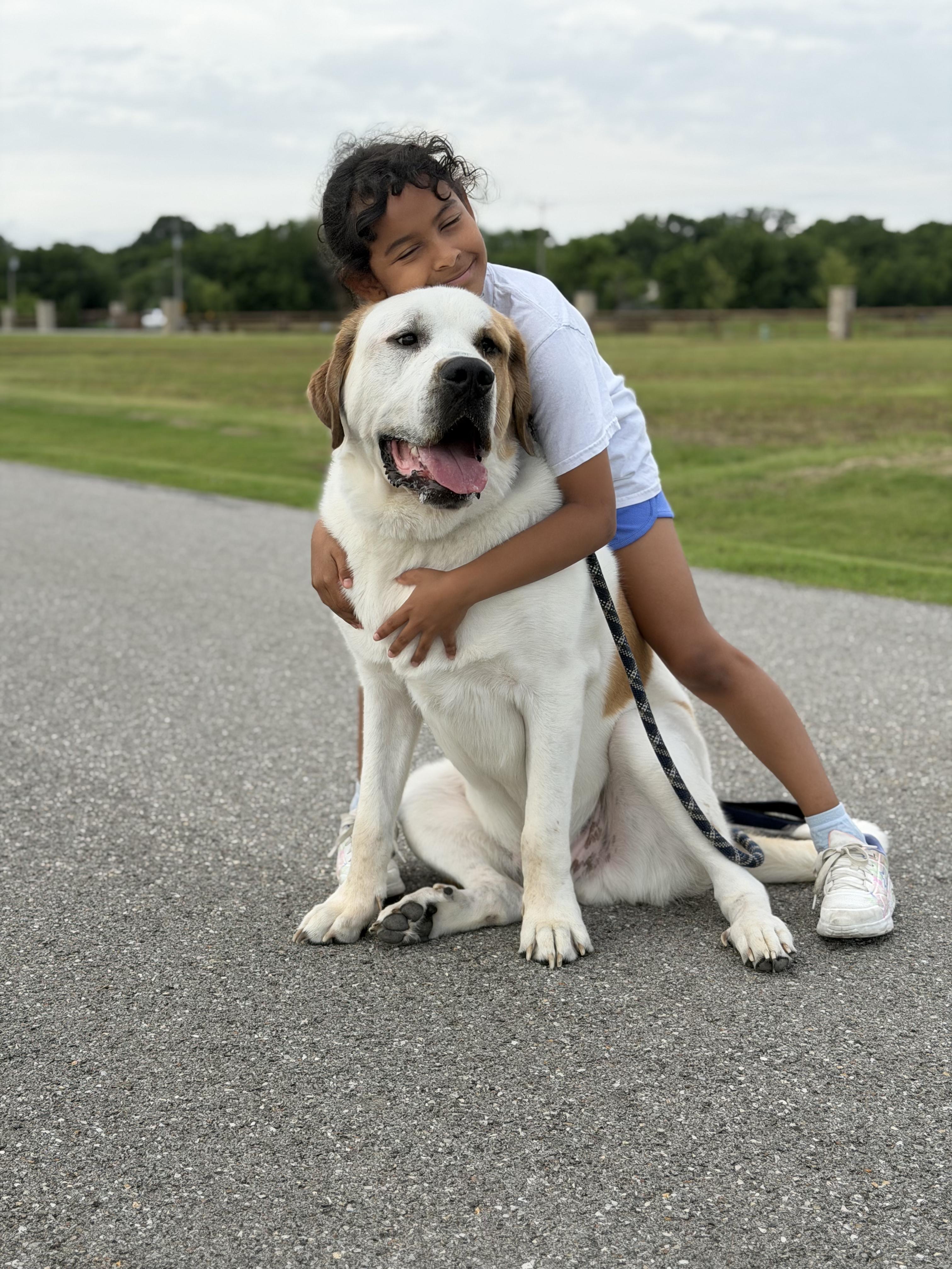 Enlarge Chunk, a Adoptable mixed breed in Chatham, NJ image 3/5