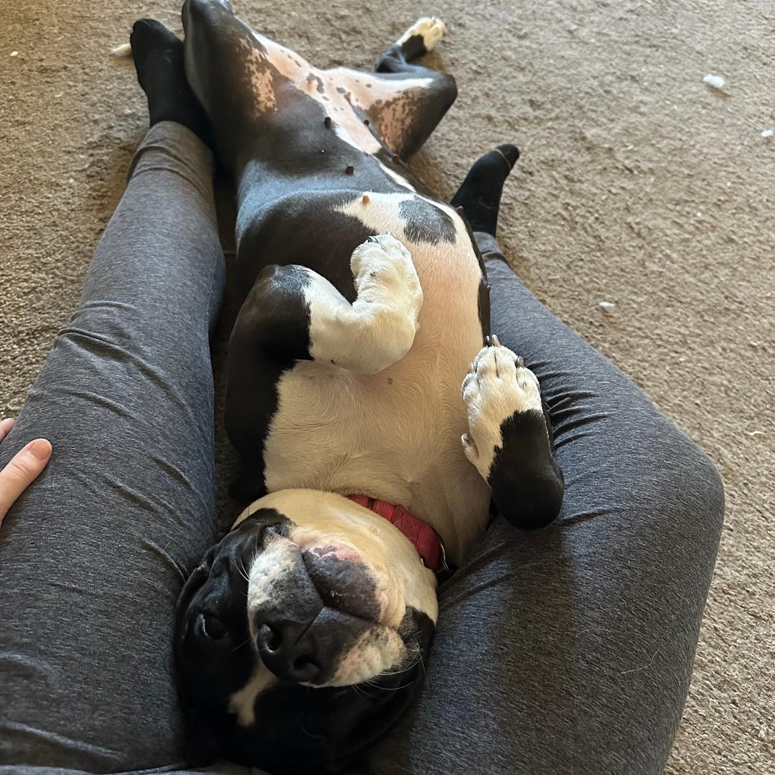 Cora