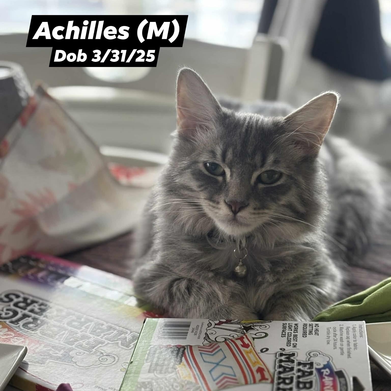 Achilles* *TWISTED ANKLE