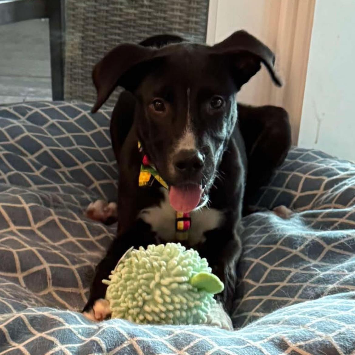 Benny