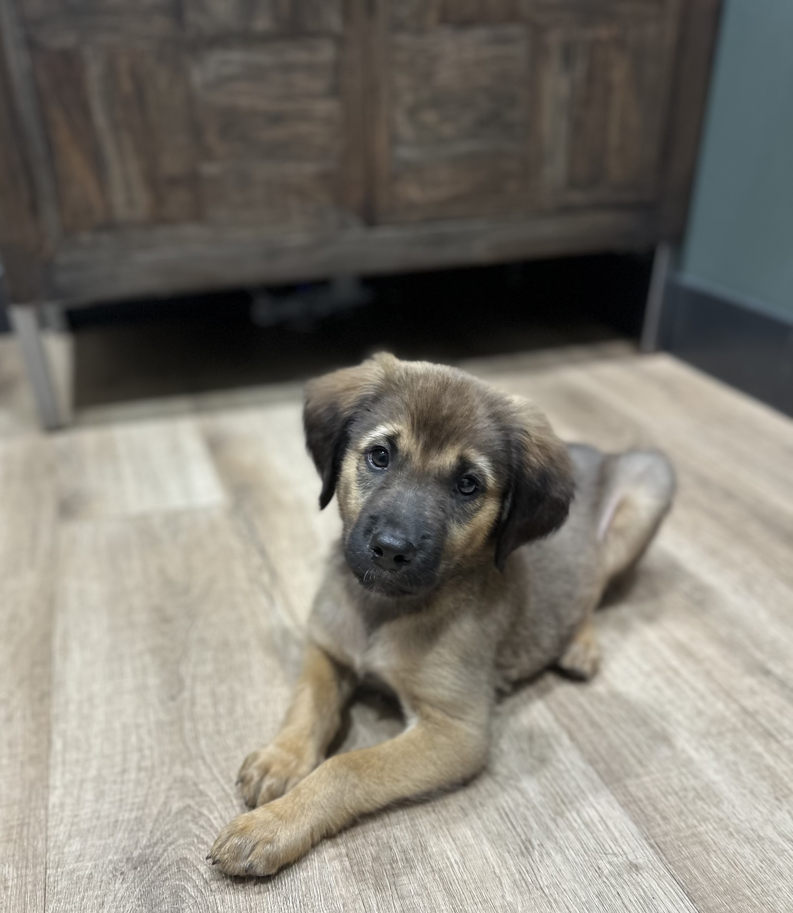 Max