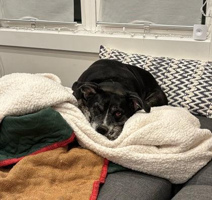 Autumn — thumbnail 2