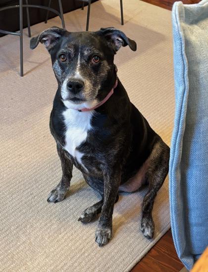 Autumn — thumbnail 3