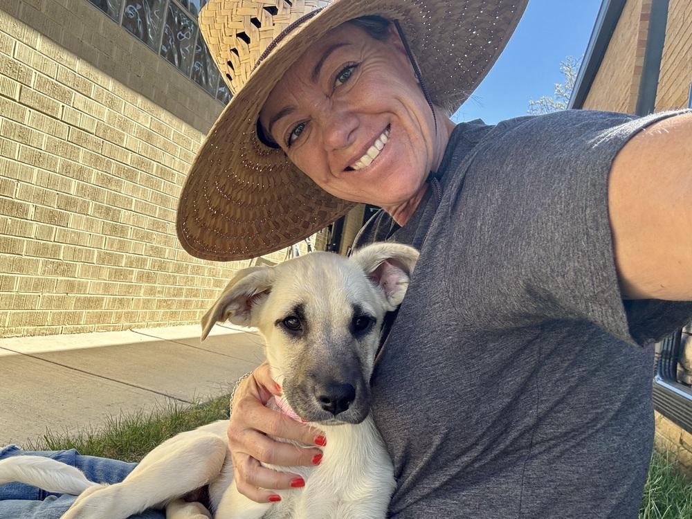 Enlarge Ciccarelliz / Dr Pepper, a Adoptable mixed breed in Broomfield, CO image 6/6