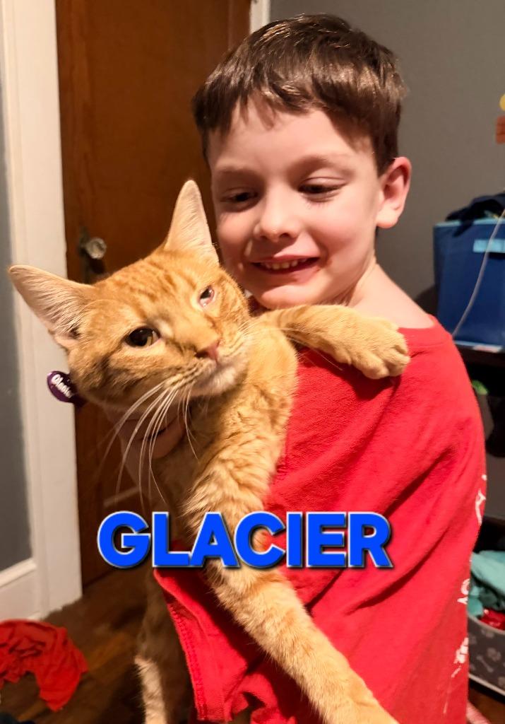 Enlarge Glacier, a Adoptable mixed breed in Rome, GA image 3/3