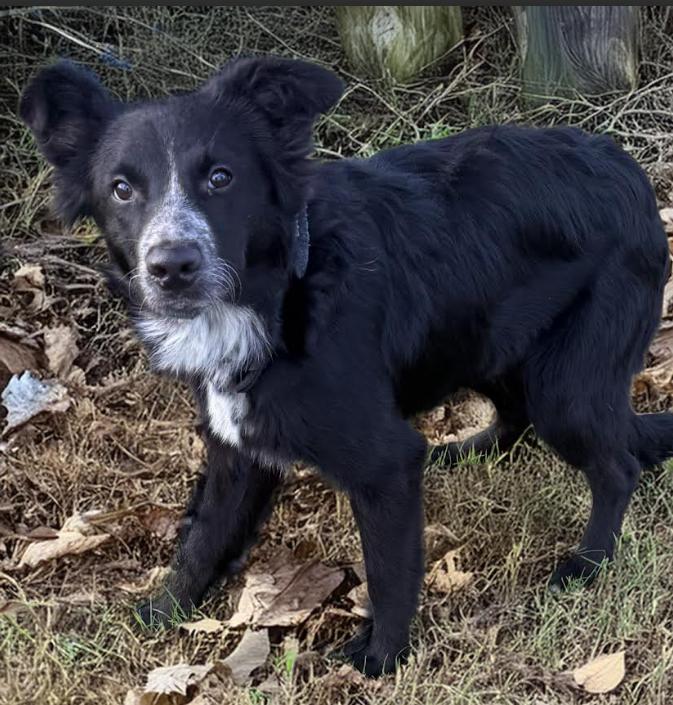 Pepper In Tx thumbnail 2