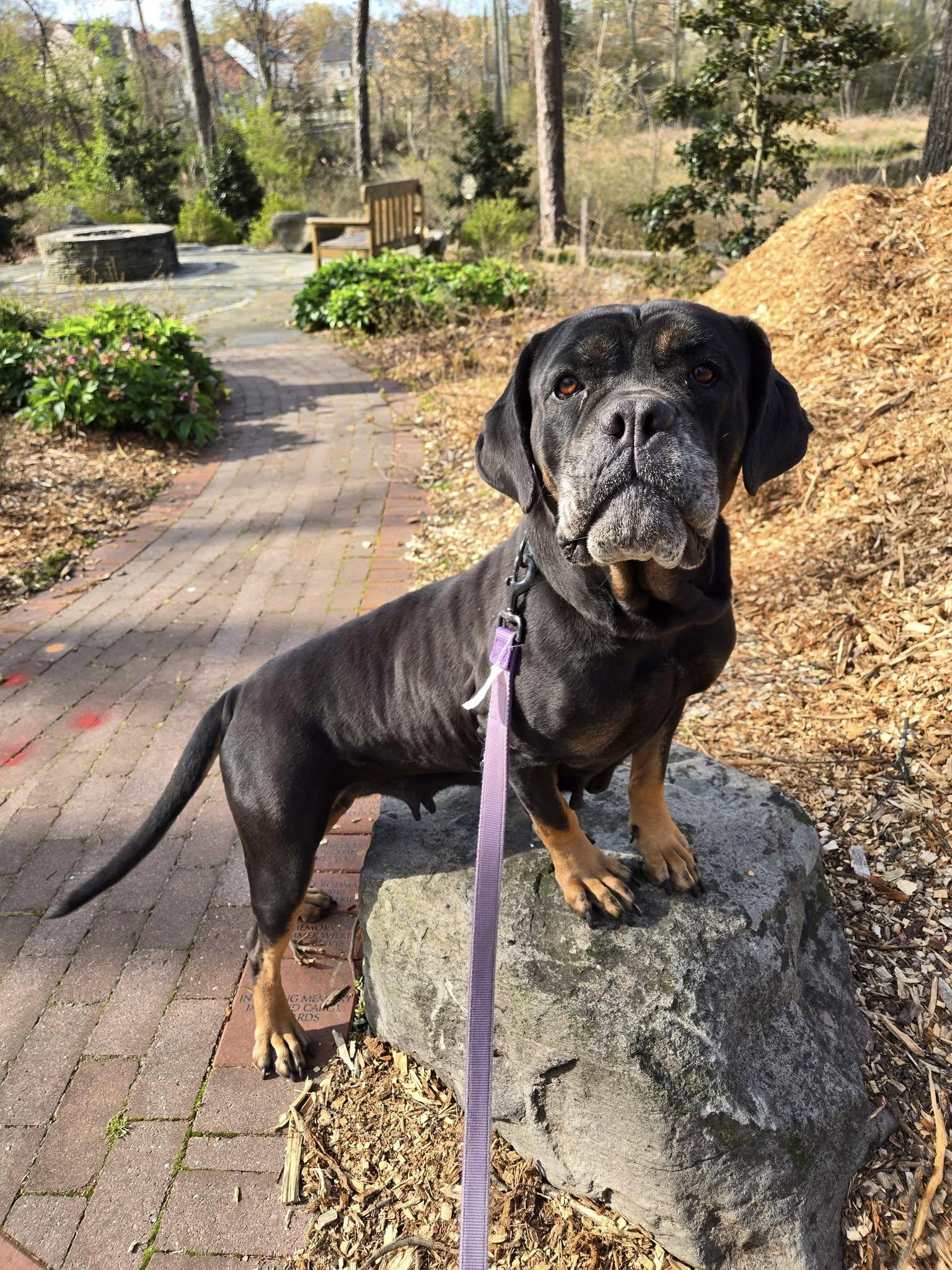 Mabel photo 2