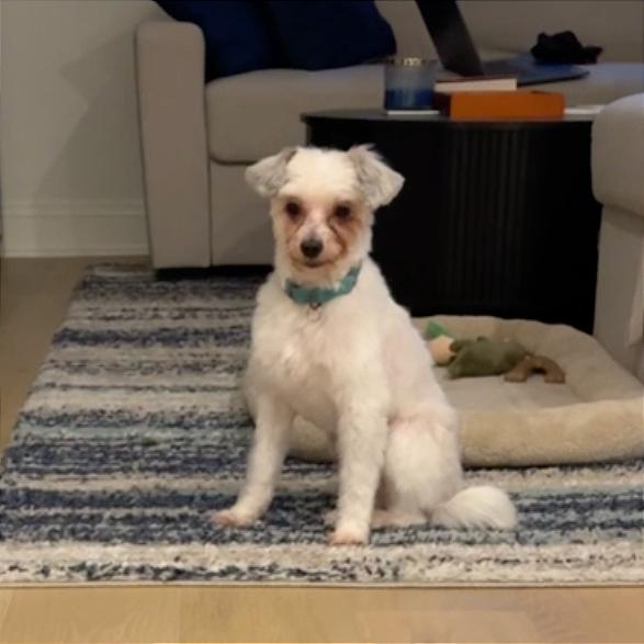 Couscous thumbnail 2