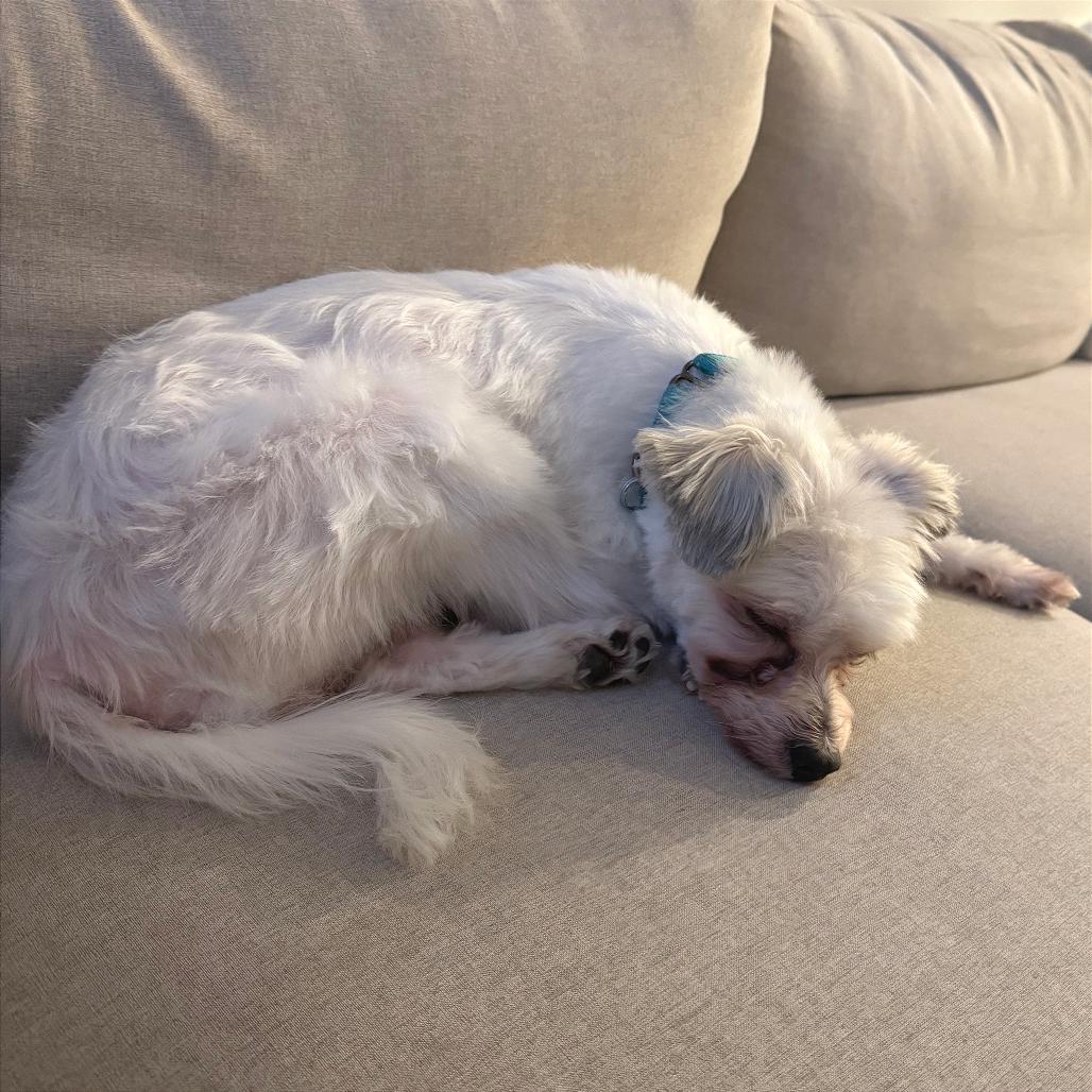 Couscous thumbnail 3