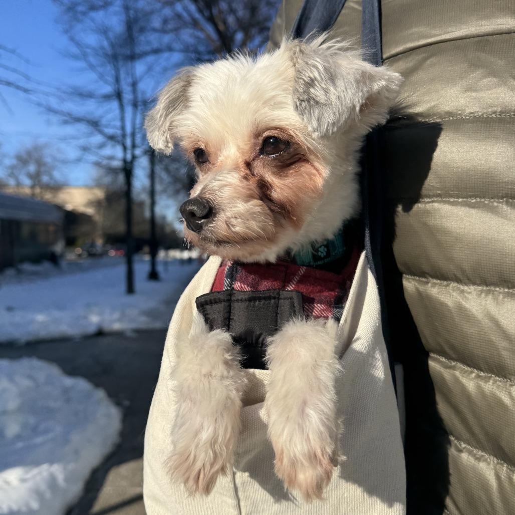 Couscous — thumbnail 2