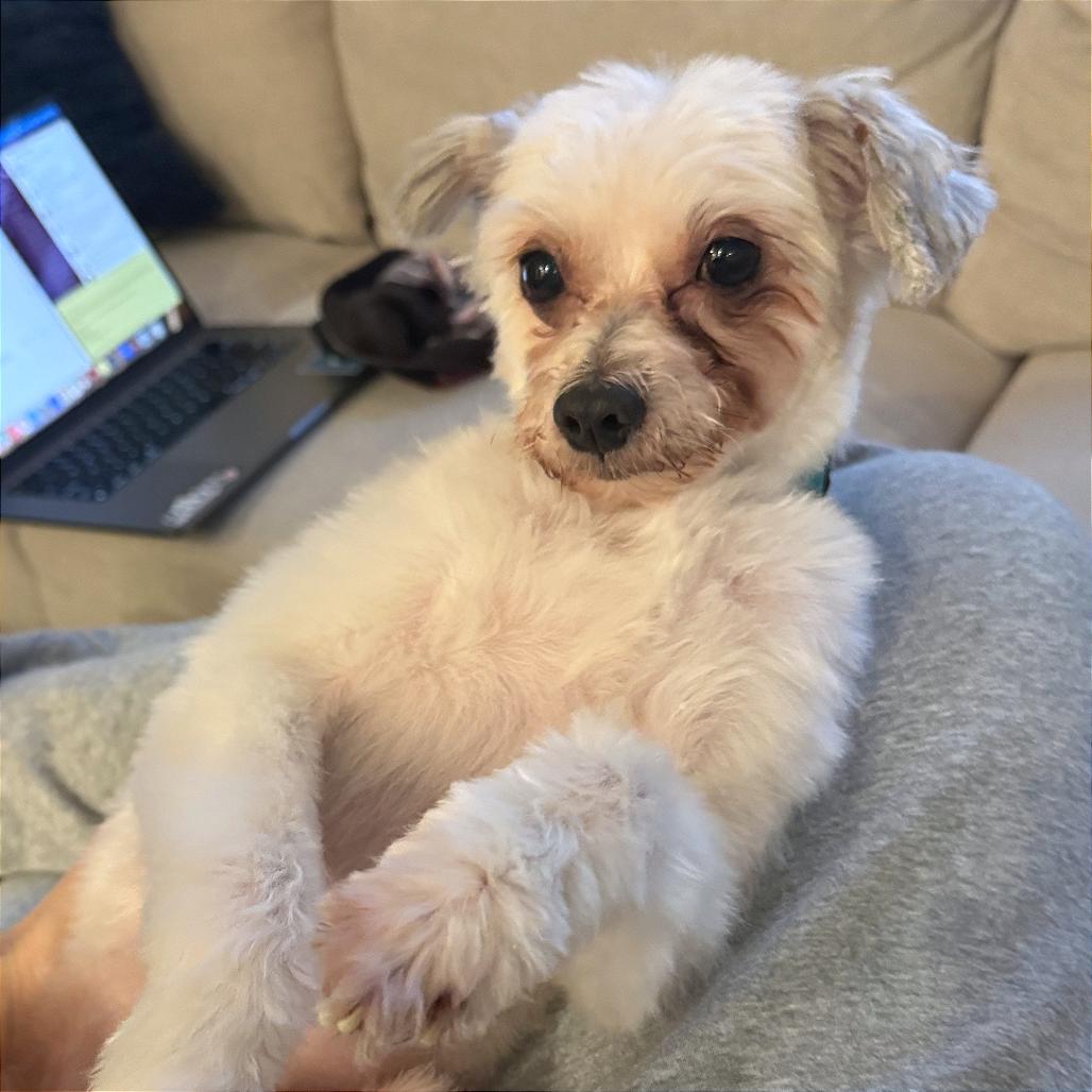 Couscous thumbnail 5