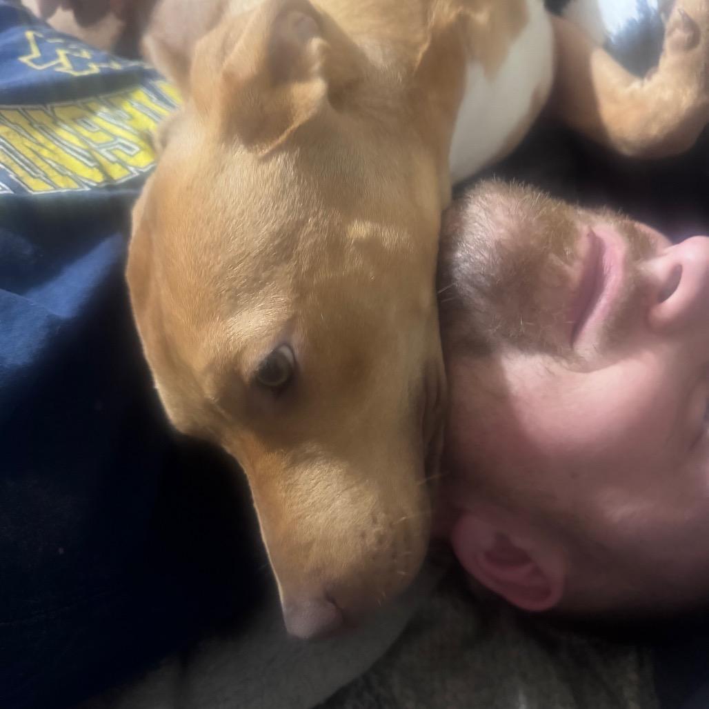 Vanilla, a Adoptable Mixed Breed in Inwood, WV image 4/5