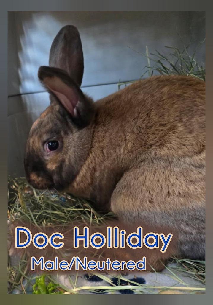 Doc Holliday photo