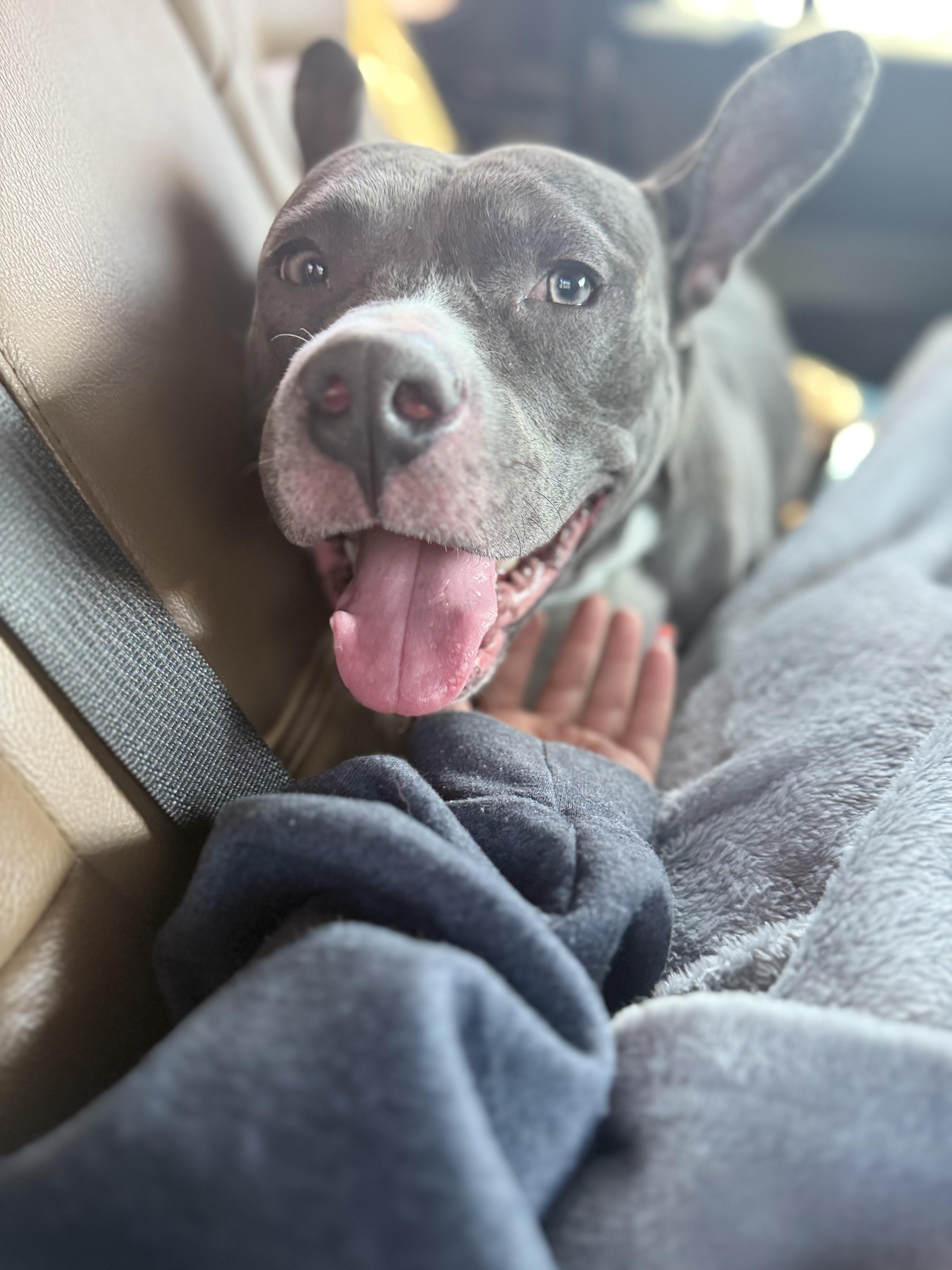 Zeus photo 5