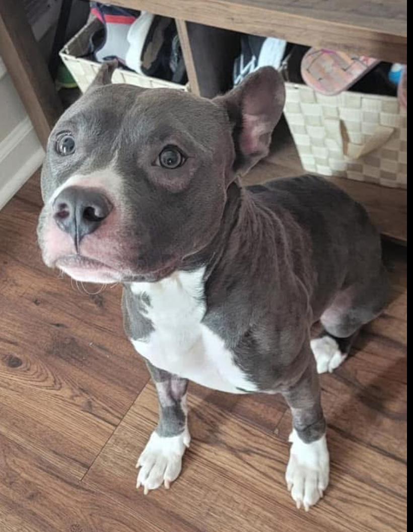 Zeus photo 2
