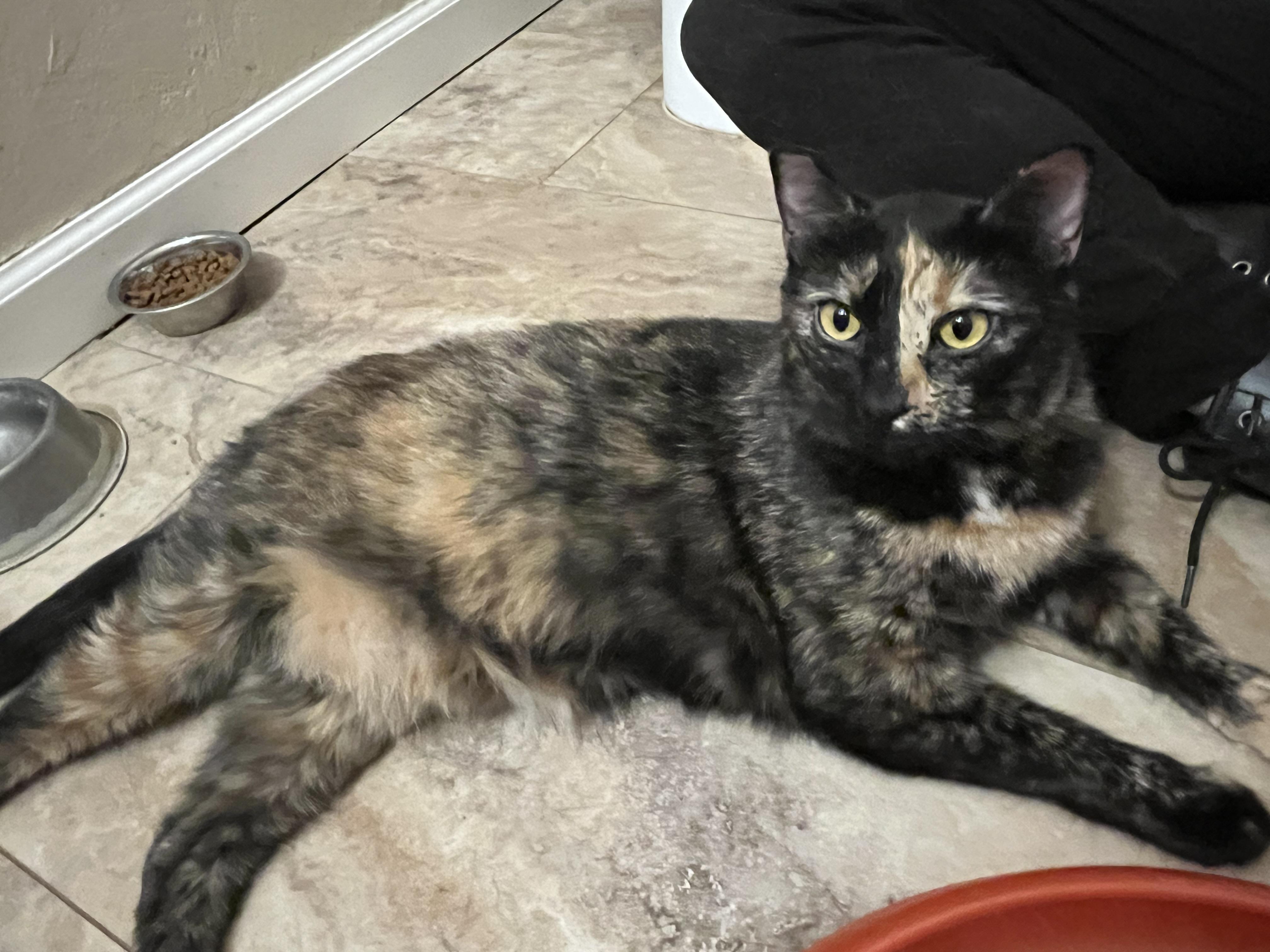 Jade and Desmos (bonded pair)