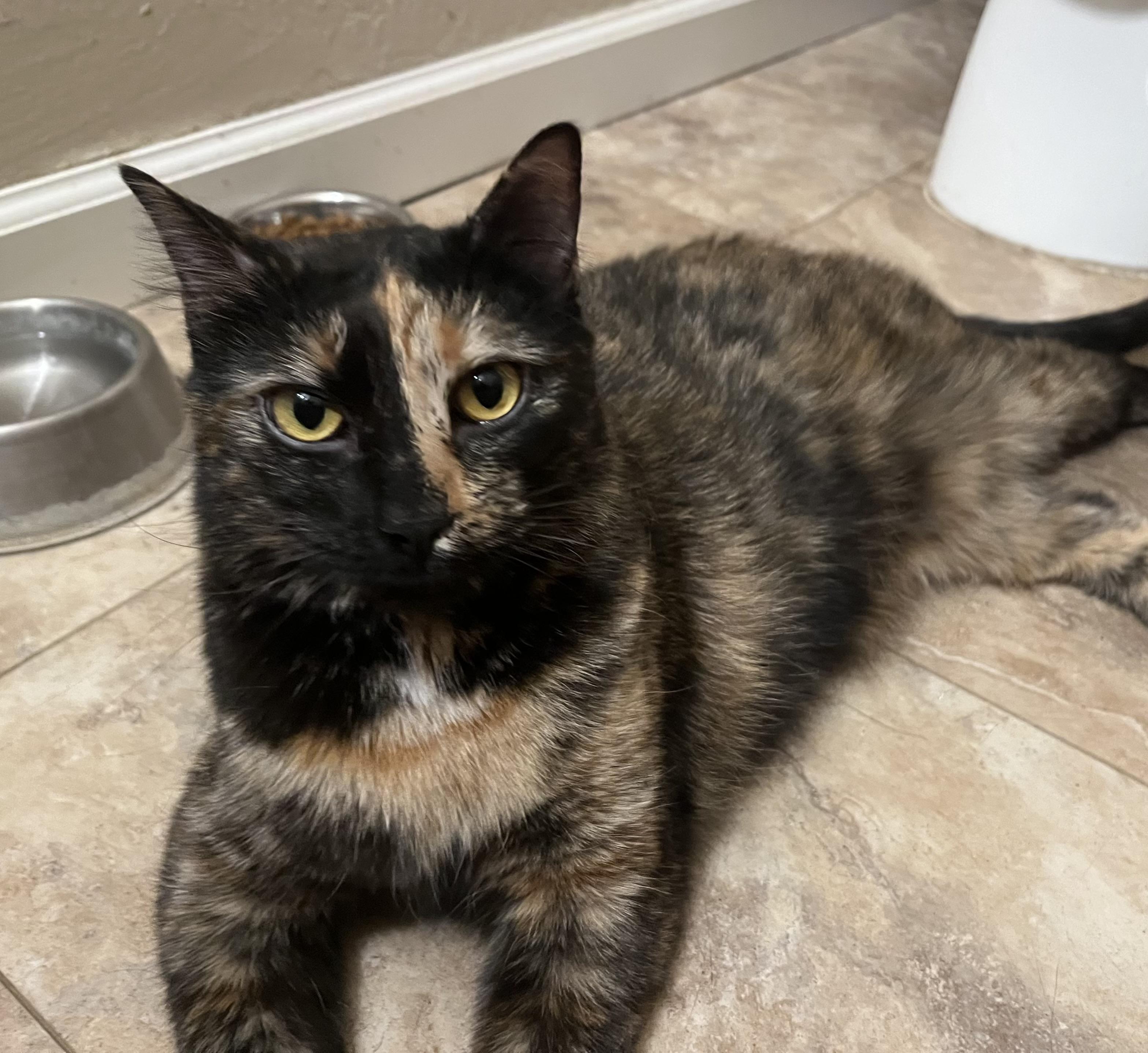 Jade and Desmos (bonded pair)
