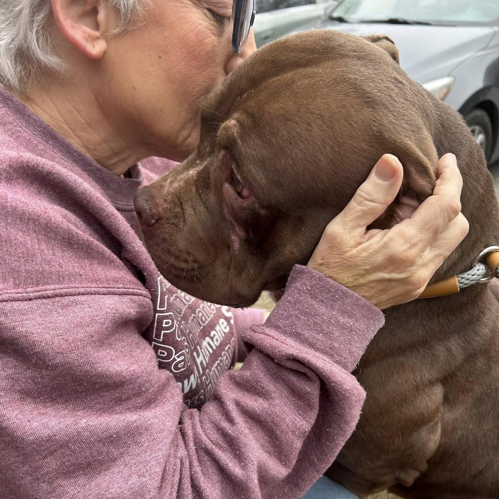 Chickpea 5772 — thumbnail 4