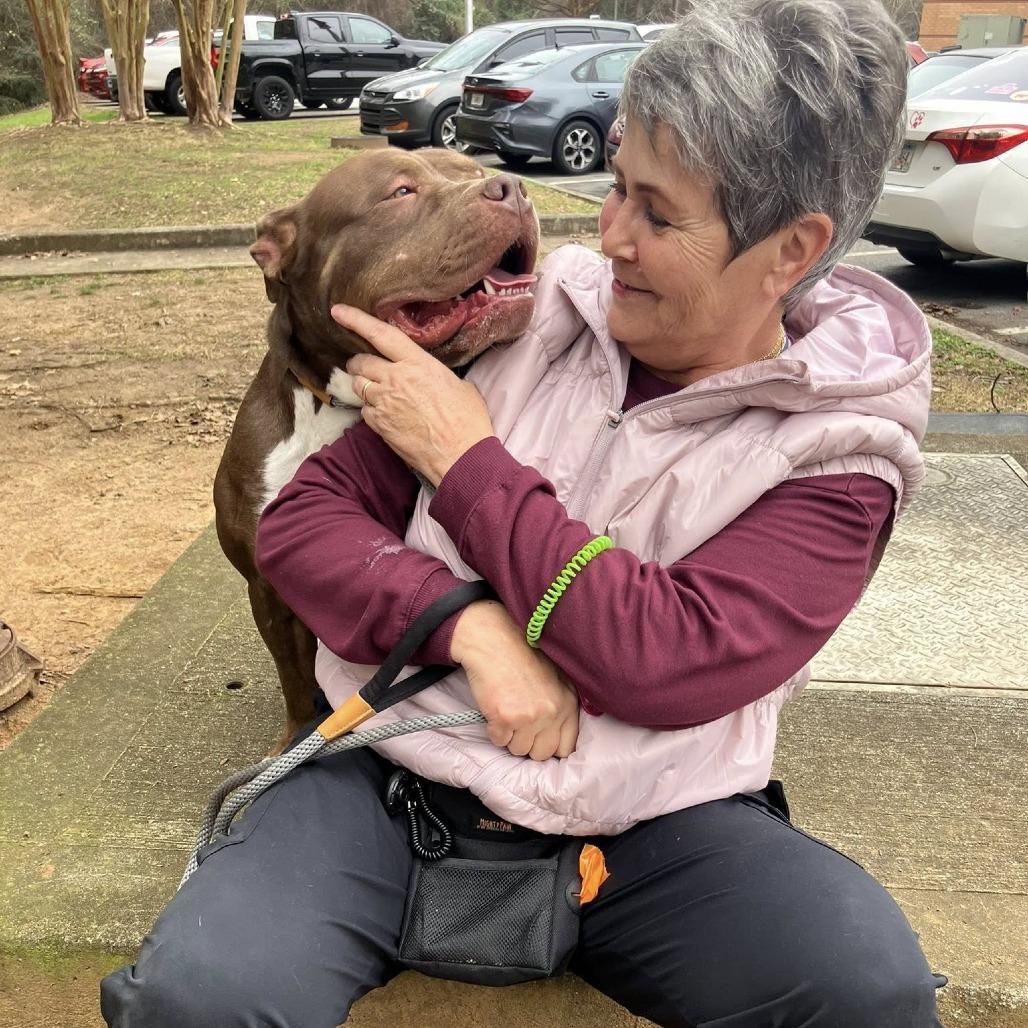 Chickpea 5772 — thumbnail 5