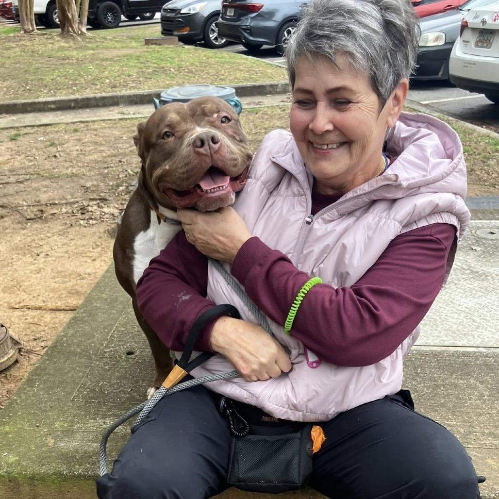 Chickpea 5772 — thumbnail 6