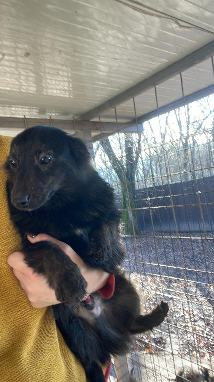 Little Max thumbnail 3