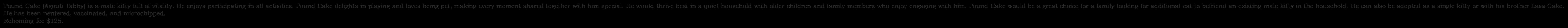 Enlarge Pound Cake, a ADOPTABLE Tabby in South San Francisco, CA image 3/3