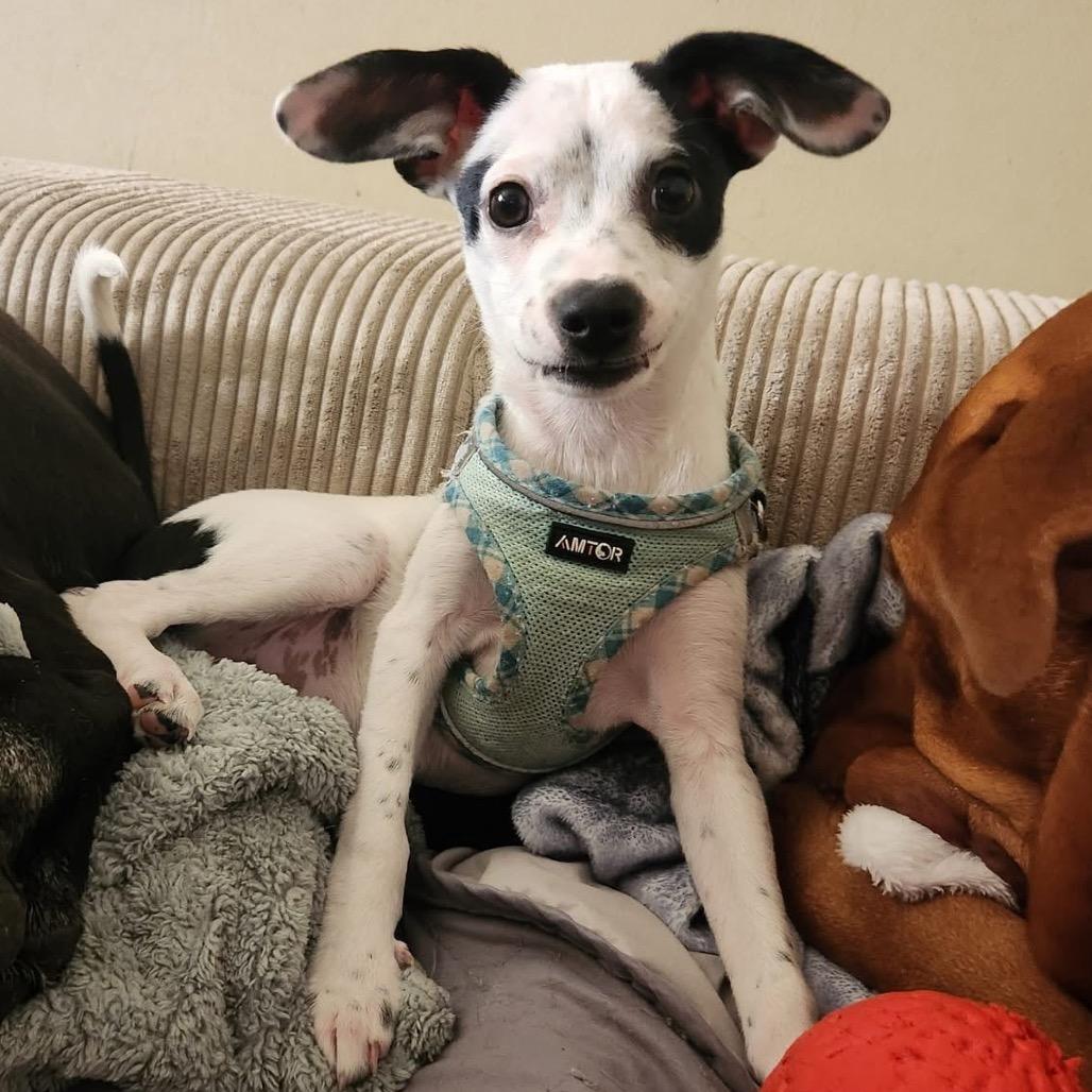 Marley — thumbnail 2