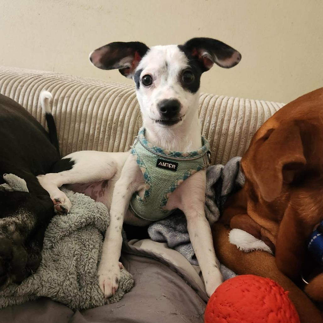 Marley — thumbnail 3