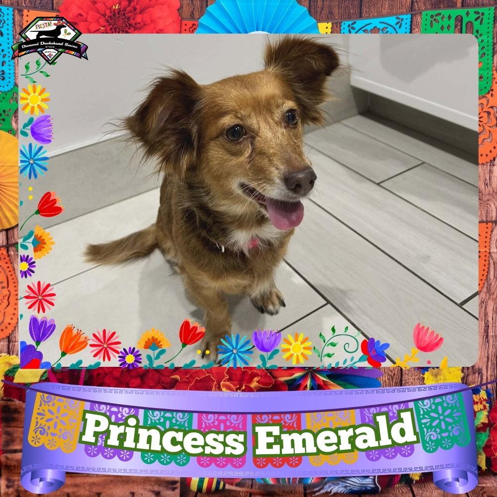 Enlarge Princess Emerald, a Adoptable mixed breed in San Antonio, TX image 2/3