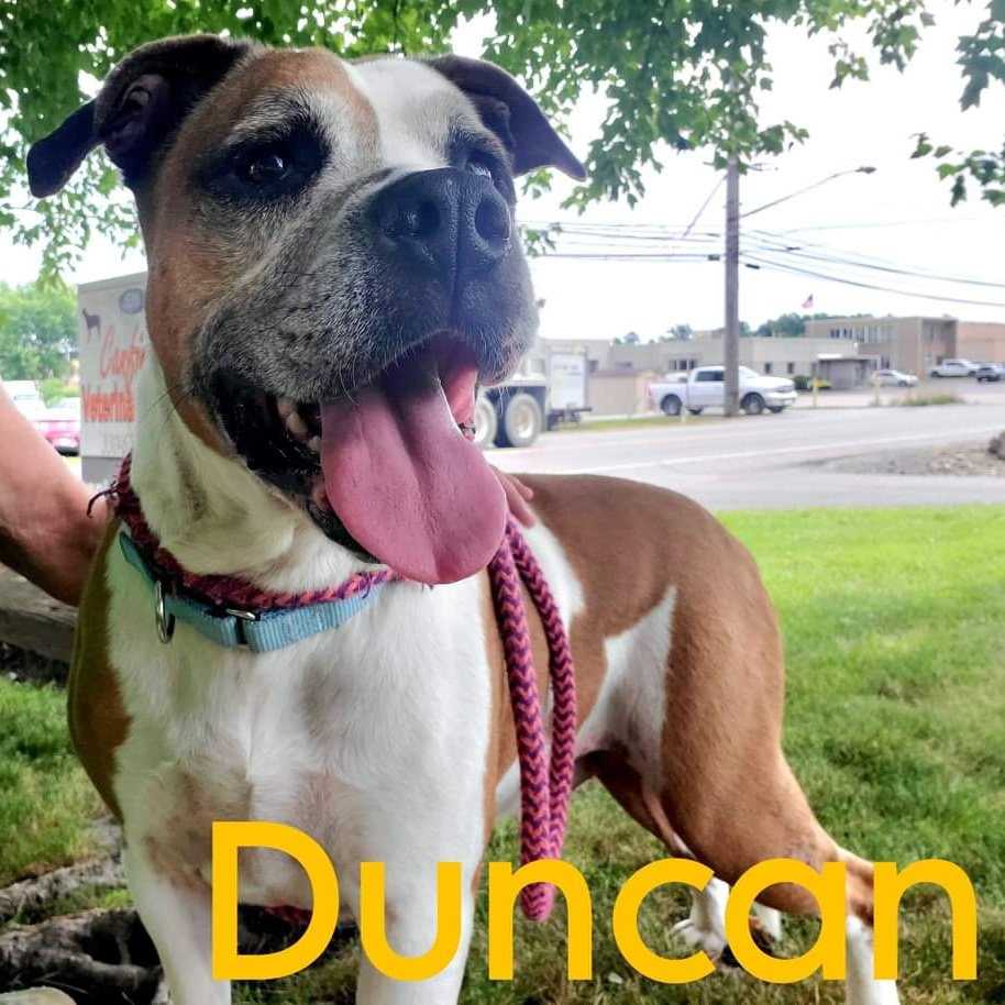 Duncan photo 2