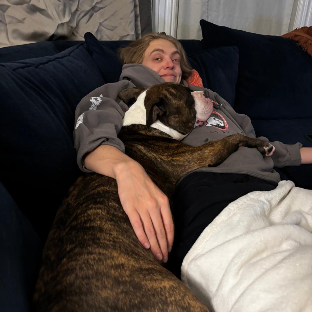 Enlarge Daisy, a Adoptable Mixed Breed in Kennebunk, ME image 5/6