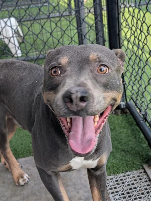 FARLEY — thumbnail 2