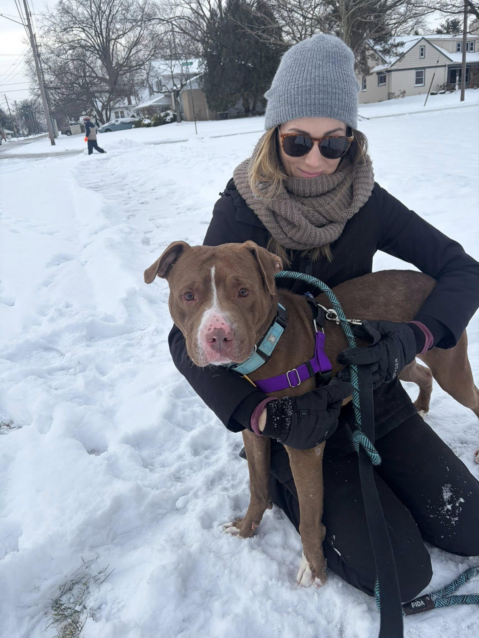 Enlarge Copper, a Adoptable mixed breed in Cleveland, OH image 4/6