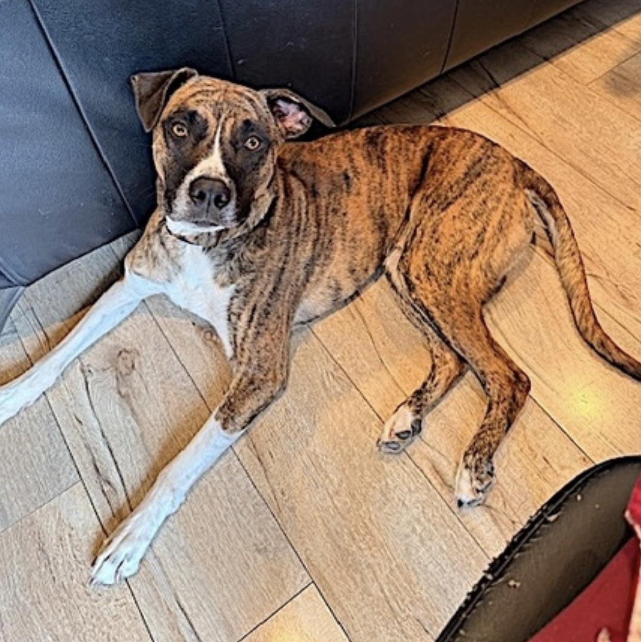 Johnny Cash — thumbnail 2