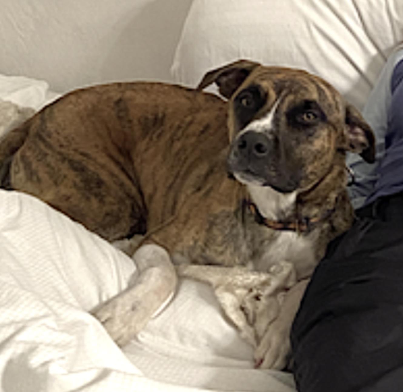 Johnny Cash — thumbnail 3