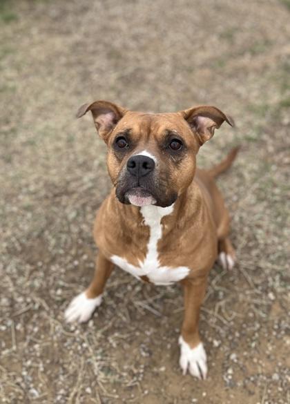 Kira — thumbnail 2