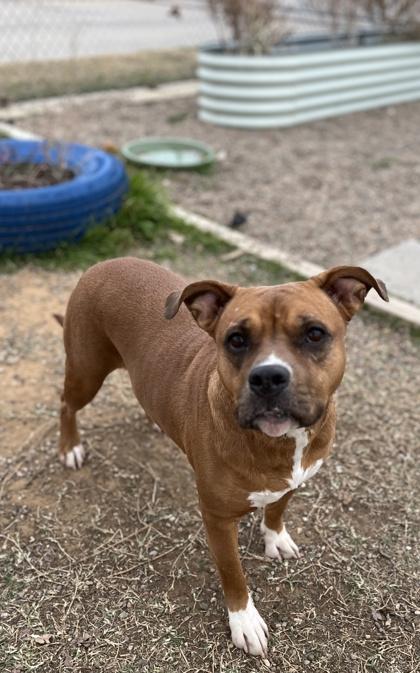 Kira — thumbnail 3