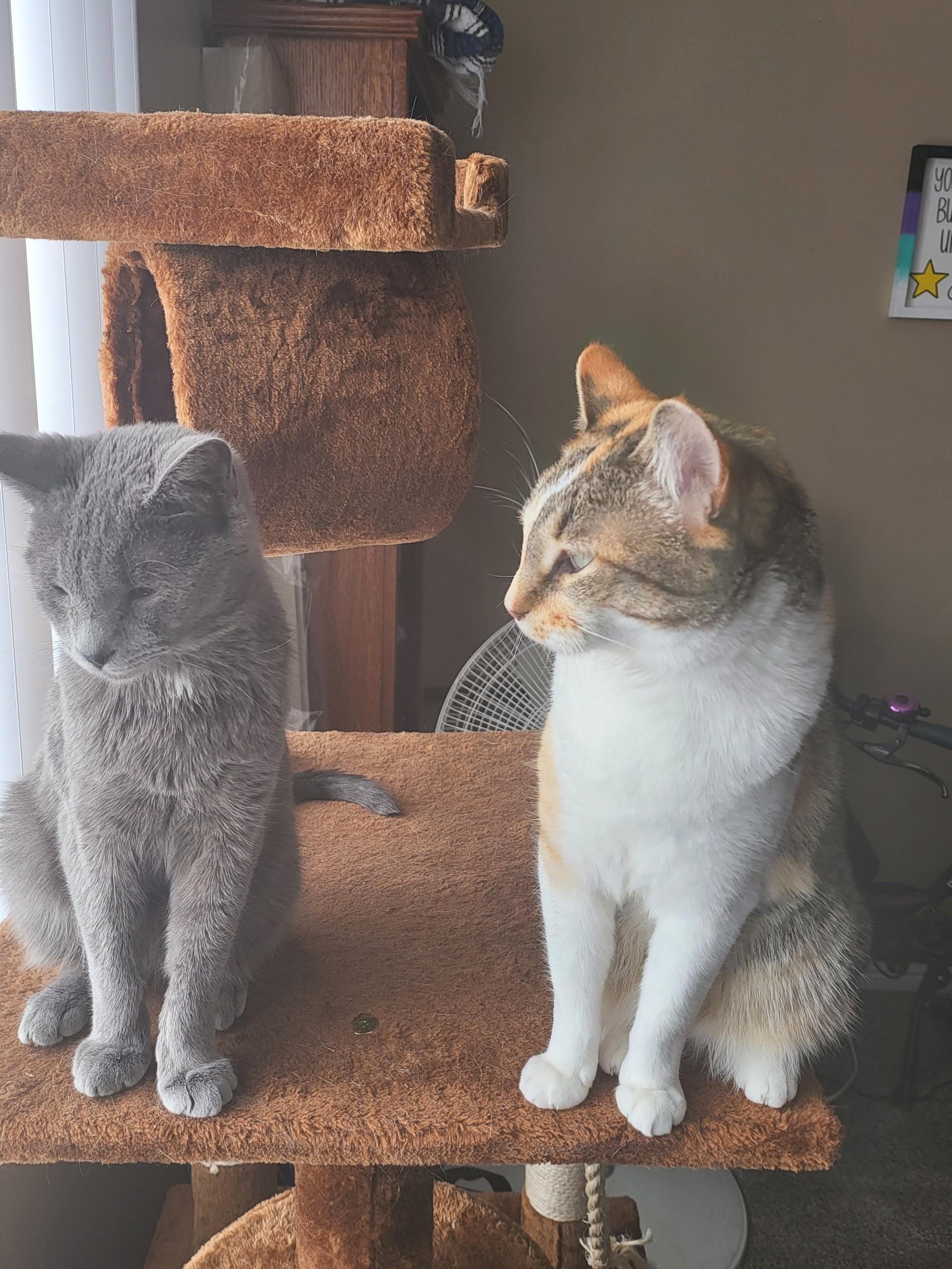 Storm and Leah
