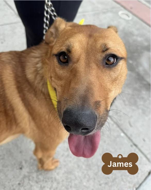 James