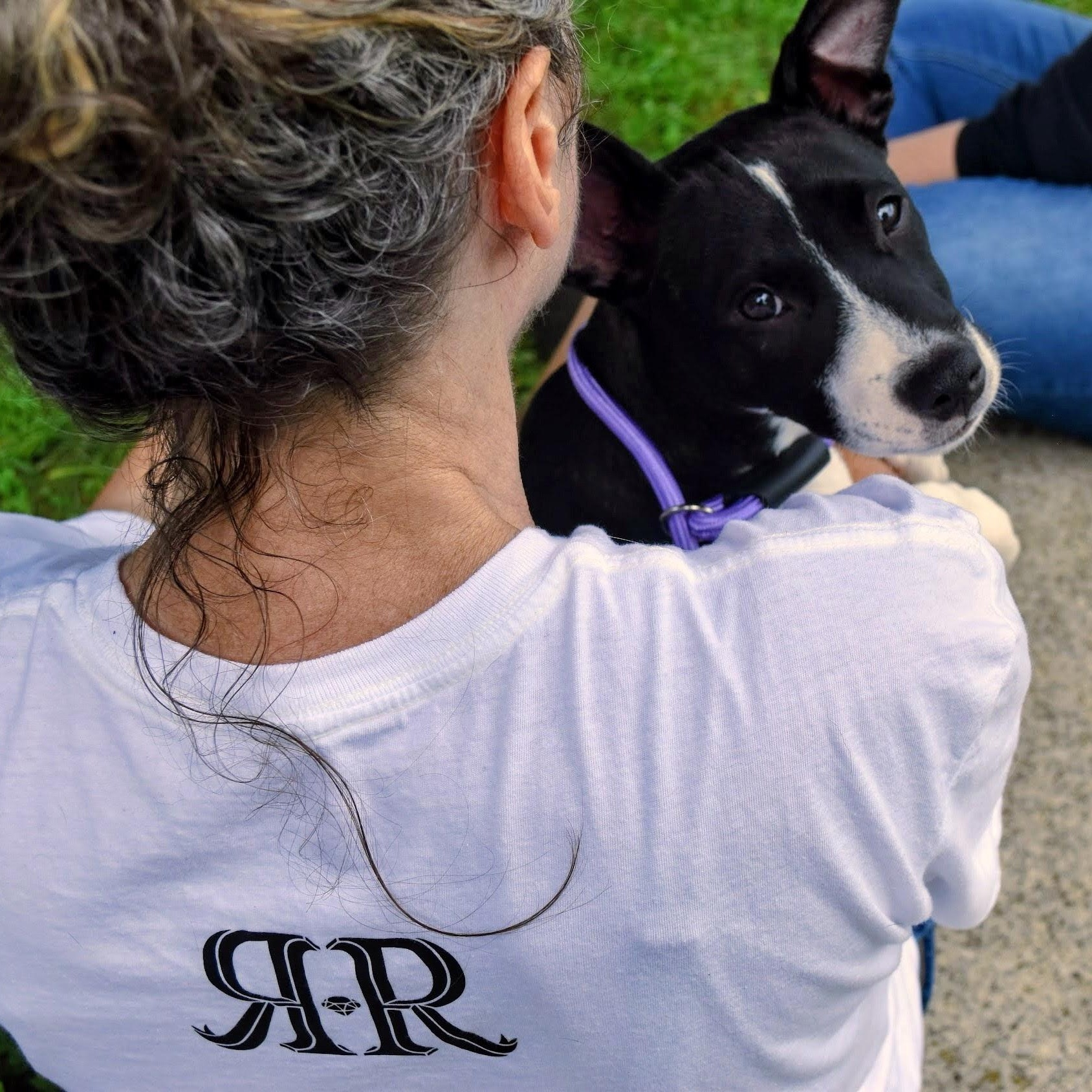 Enlarge Tia, a ADOPTABLE mixed breed in Spring hill, TN image 6/6