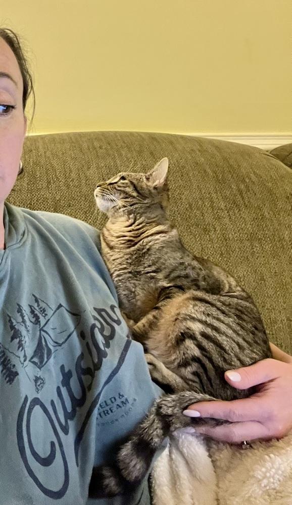 Enlarge Henrietta, a Adoptable mixed breed in Henrico, VA image 4/6