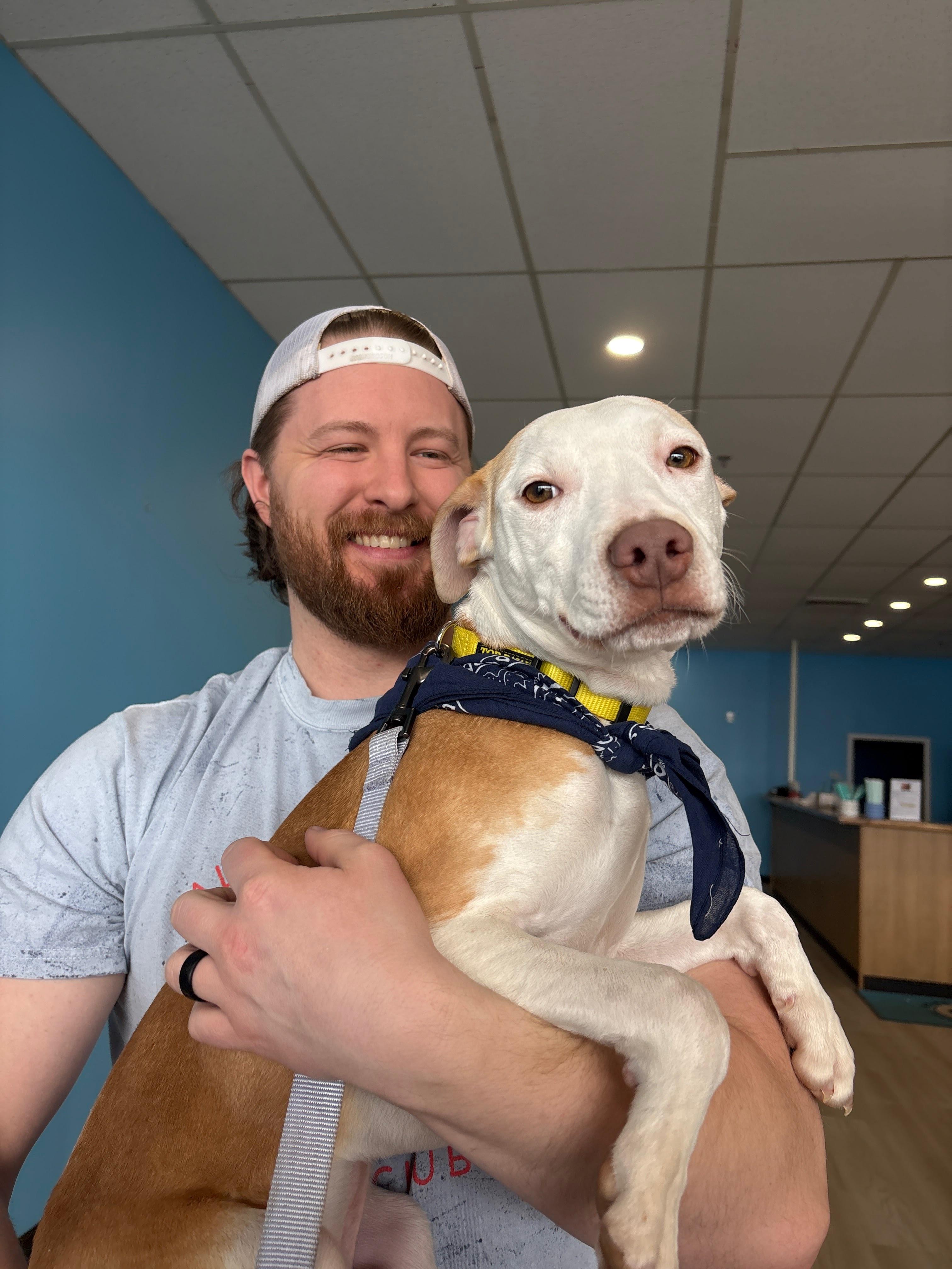 Shadow , ADOPTABLE, Puppy Male Mixed Breed.