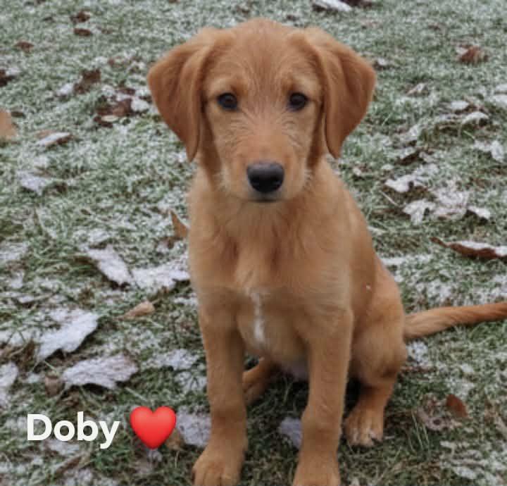 Doby thumbnail 3