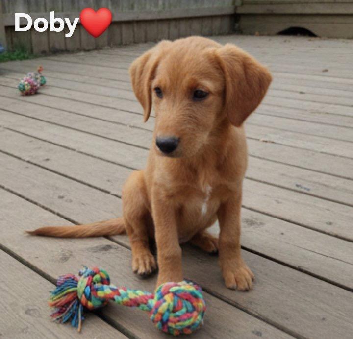 Doby