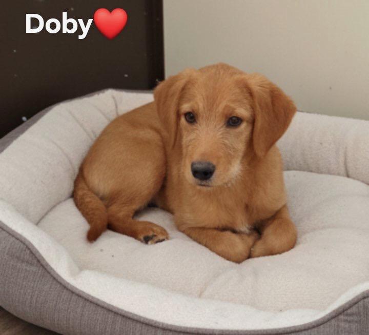 Doby thumbnail 5