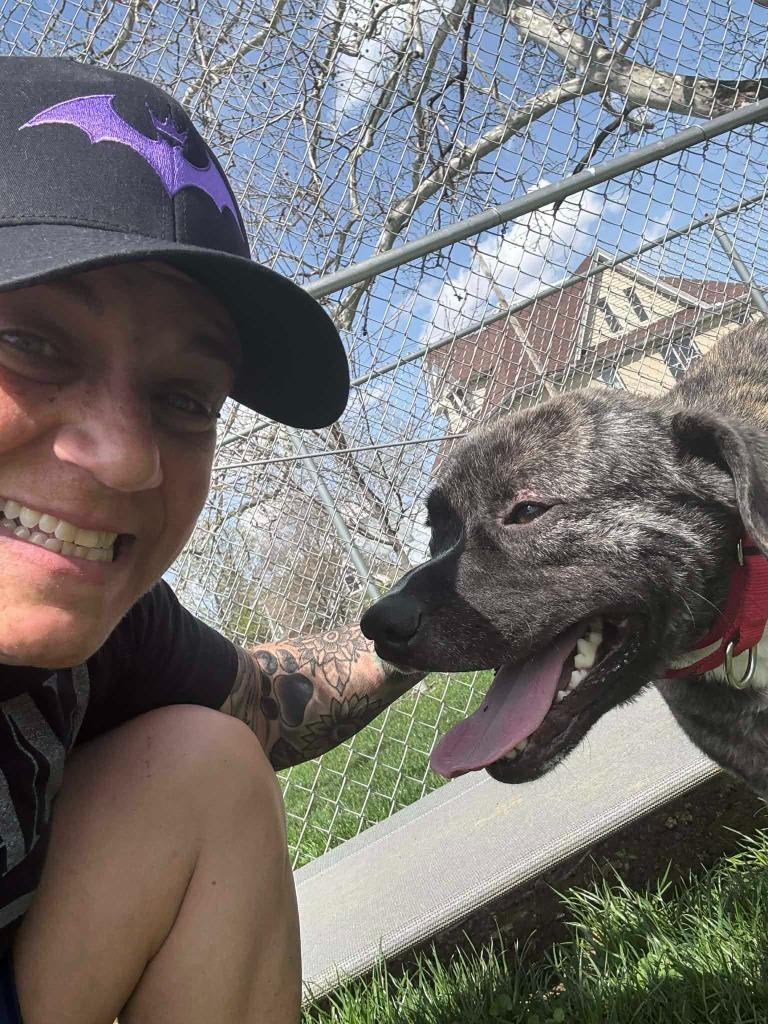 Enlarge Edward, a Adoptable Terrier in New Kensington, PA image 2/5