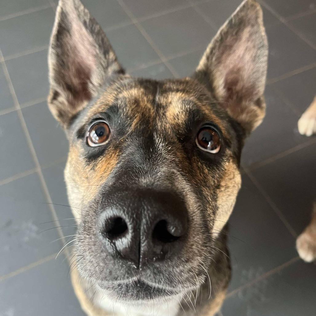 Kady (Cherri Pie) — thumbnail 6